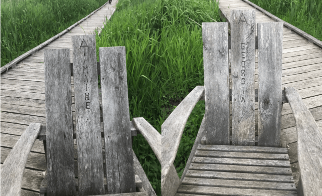 Screen Shot 2017-06-03 at 8.37.45 PM